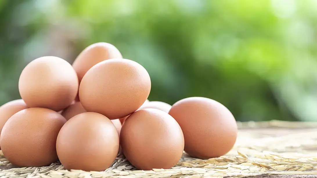 Huevo y colesterol: mitos y verdades